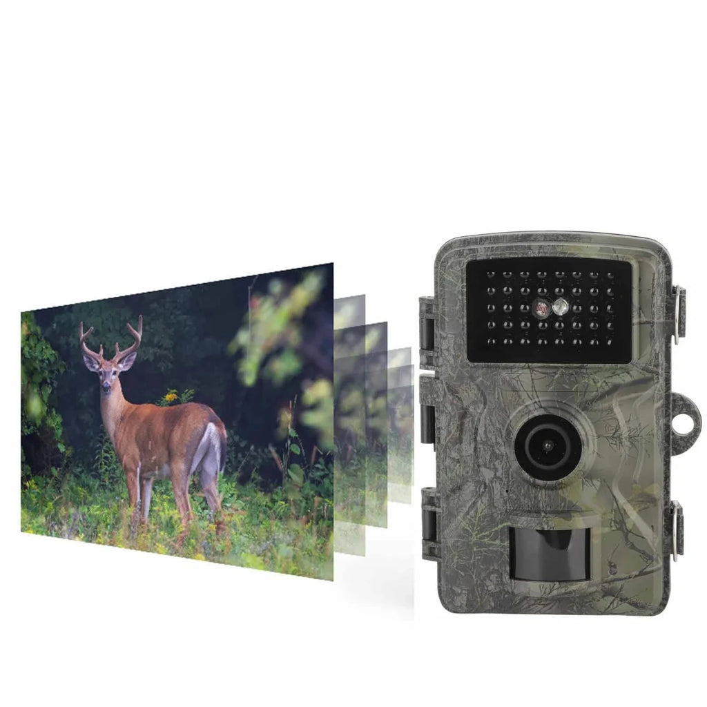 Caméra De Chasse Infrarouge HD Étanche IP66
