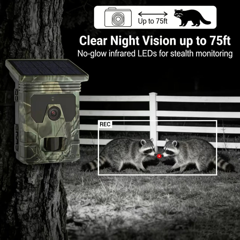 Caméra De Chasse Solaire 4K Avec Vision Nocturne
