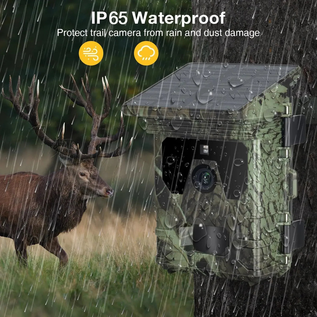 Caméra De Chasse Solaire 4K Avec Vision Nocturne