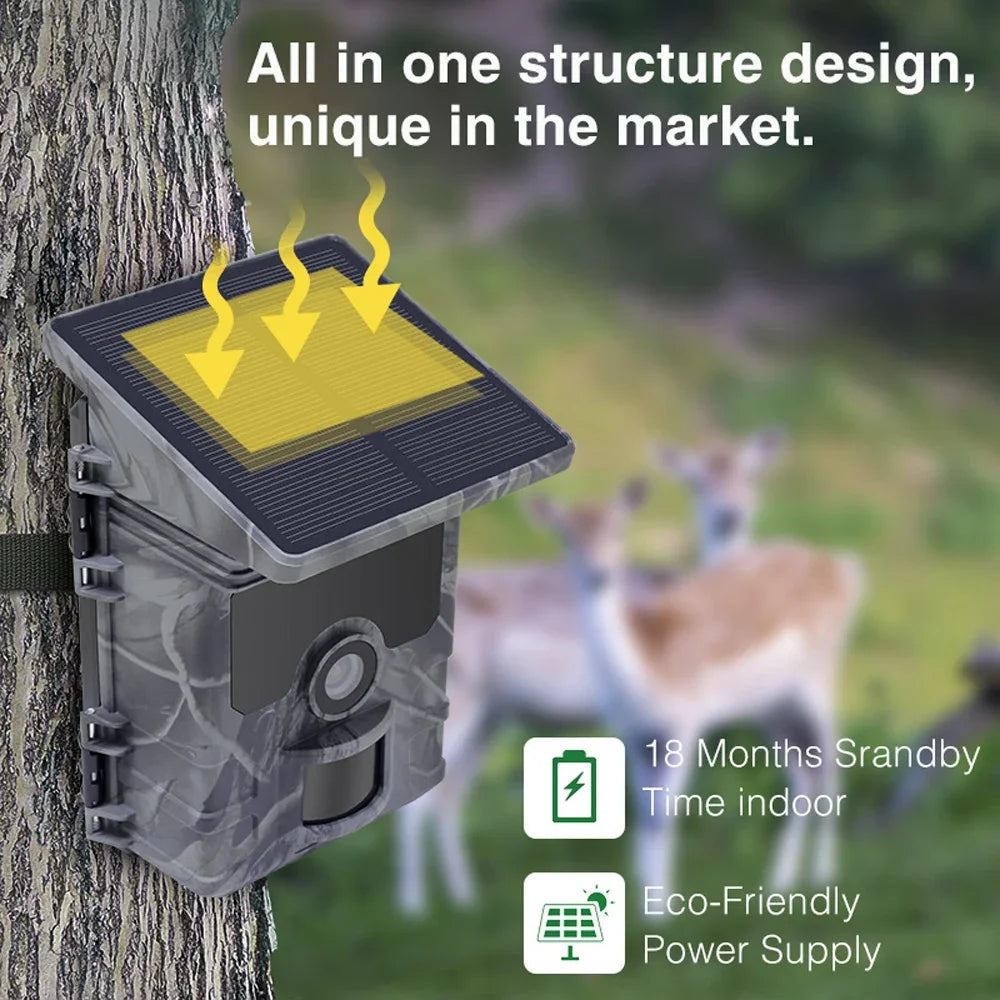 Caméra De Chasse Solaire 4K Avec Vision Nocturne