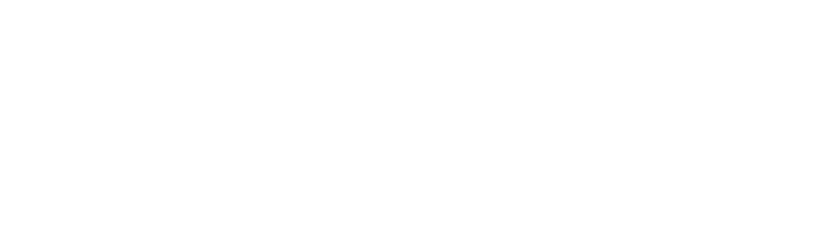 logo footer Image